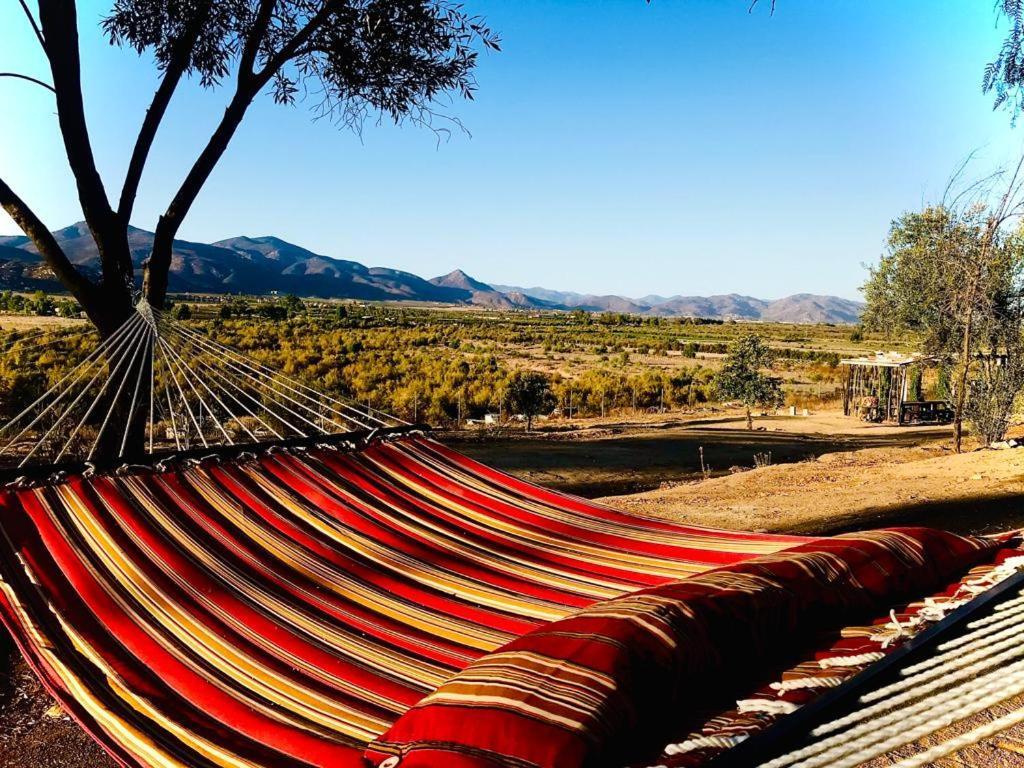Willa Terra Monarca Valle de Guadalupe Zewnętrze zdjęcie